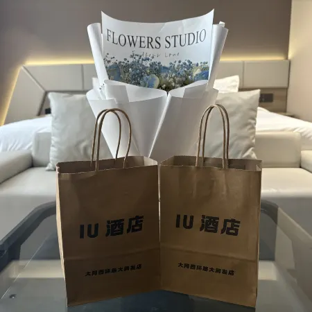 IU Hotel (Datong West Ring Road RT Mart Branch)