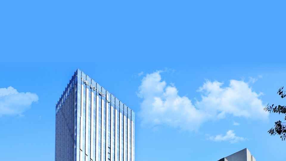 the Lotus Hotel