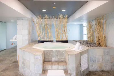 Barceló México Santa Fe فنادق في 