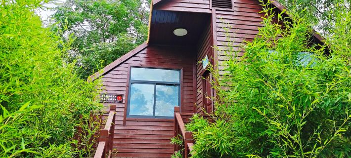 Huizhou International Peony Garden B&B Hotels in Feidong