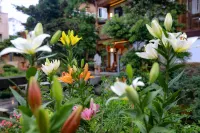 Confucian Shan House Ceramic Garden art space Homestay