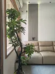 Bajin Homestay - pet friendly