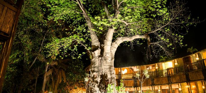 Cresta Mowana Safari Resort & Spa Hotels in Chobe District