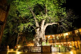 Cresta Mowana Safari Resort & Spa