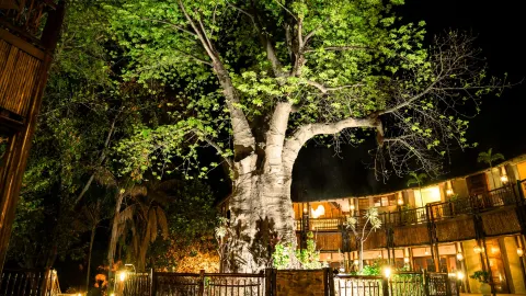 Cresta Mowana Safari Resort & Spa in คาซาเน