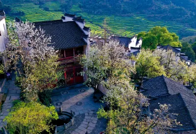Jingyuan Meisu (Huangling Scenic Area)