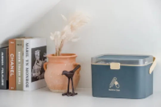 Apple Scent Easy Stay