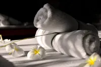Dolphin House Resort Moalboal - Gym