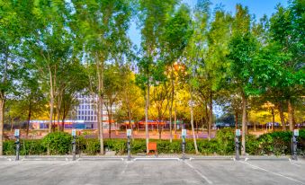Belle Dongying Hotel (Fuqian Street Financial Port Branch)