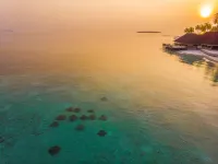 Dhigufaru Island Resort Hotel a Kendhoo