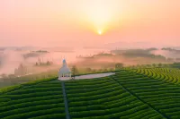 Flower Soul Manor Resort Hotels in Wuyi