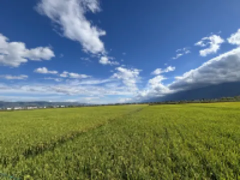 Dali Menghe Homestay (Youfeng Courtyard)