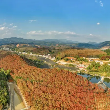 Yueyao • Guiyin Tianyuye Banshan Garden Homestay (Phoenix Valley)