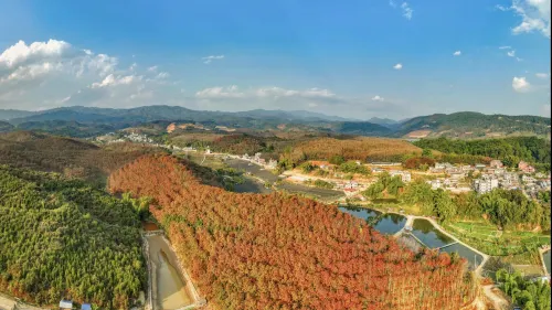 Yueyao • Guiyin Tianyuye Banshan Garden Hotel (Fenghuang Valley)