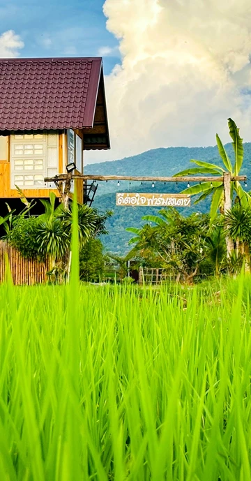 รูปภาพของดีต่อใจ ฟาร์มสเตย์ น่าน