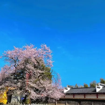 XISHANGJU RESORT HOTEL