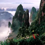 Mangshan Forest Hot Spring Hotel - Mountain view