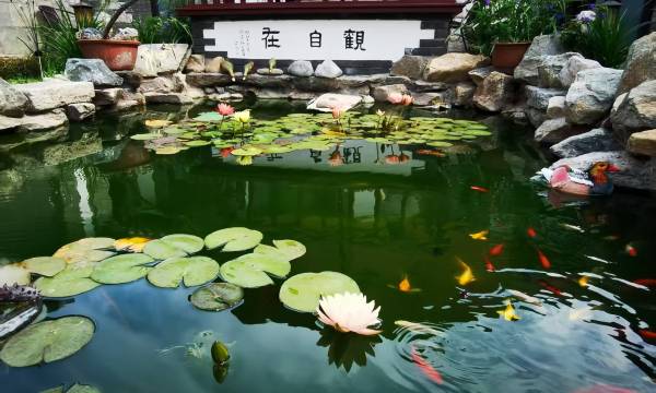 Shengyuan Boutique Homestay (Yantai Wanda Suocheng Branch)