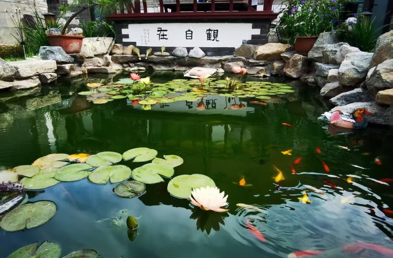 Shengyuan Boutique Homestay (Yantai Wanda Suocheng Branch)