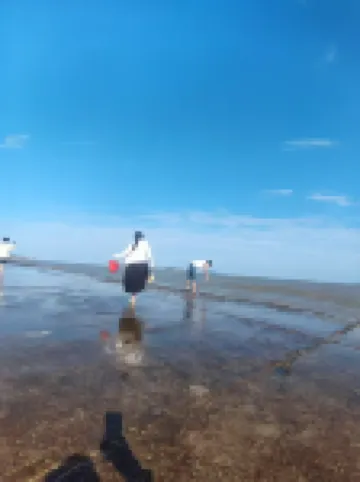 후니우 빌라 (지후 해변 관광지)