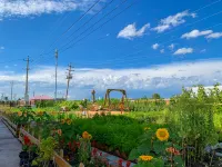 YunQi Retreat Guesthouse Hotels in Eerguna