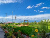 YunQi Retreat Guesthouse Hotels in Ergun