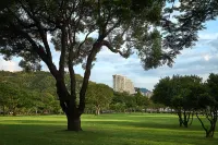 Grand Ocean View Hotel Zhuhai - Ocean View