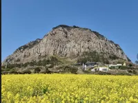 Masion Sanbang Jeju 普門寺周辺のホテル