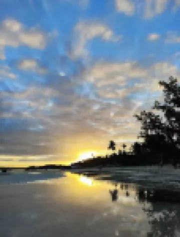 Bohol Begonia Resort โรงแรมใน