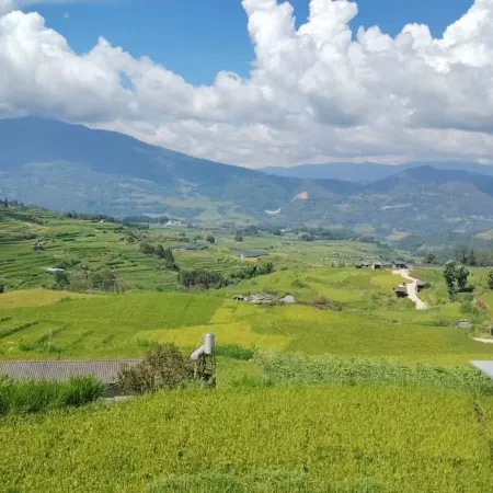 Yixiaju Homestay