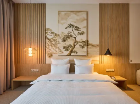 Dzen Hotel (Zen) Hotels in 