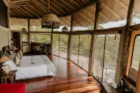 Elewana Tarangire Treetops