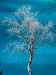 Yunfan Shanlan Retreat (Jiuzhaigou Scenic Area Visitor Center Branch) - โรแมนติก