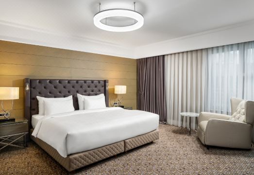 Radisson Blu Hotel Istanbul Sisli Over view