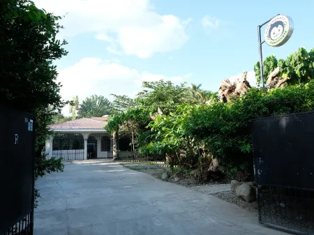 Mad Monkey Dumaguete