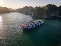 Erina Cruise by Hag