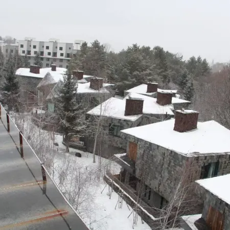 River Valley Villa (Changbaishan North Slope Scenic Area, Enduri Leisure Resort Zone)