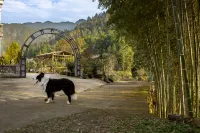 Xianju Wanwan Farm Stay - Farmhouses