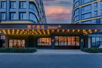 Orange Hotel (Xi'an Xianyang International Airport)