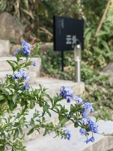 Cloud Nine Inn Tonglu Отели рядом с достопримечательностью «Fangyukong Yanjiyou Capsule Bookstore»