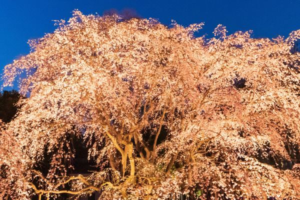 호텔 리솔 이케부쿠로(Hotel Resol Ikebukuro)_5
