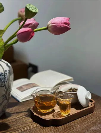 Borrman Hotel (Yibin Daguanlou Guanying Ancient Street) Отели рядом с достопримечательностью «Yibin Vocational and Technical College»