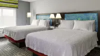 Hampton Inn & Suites by Hilton Chico