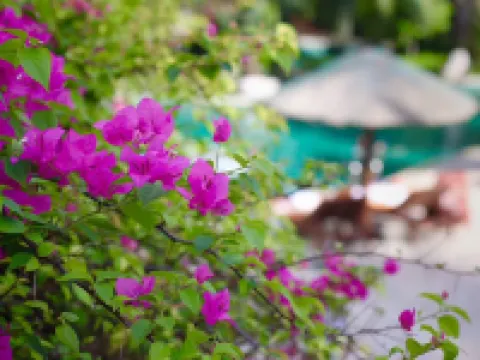 Swissôtel Sanya Yalong Bay Hotel di Sanya