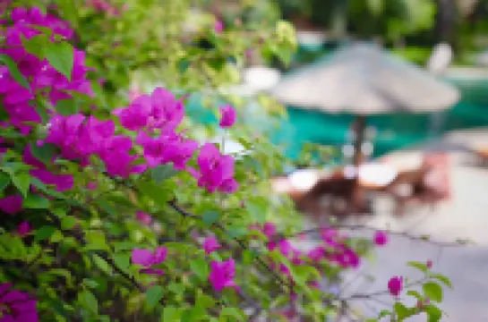 Swissôtel Sanya Yalong Bay Hotels near Yalong Bay