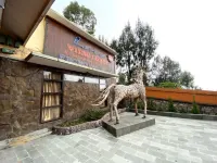 Lava View Lodge