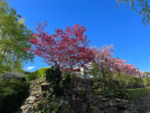 Coronet Ridge Resort