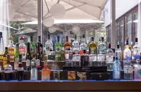Lion's Garden Hotel - Barer