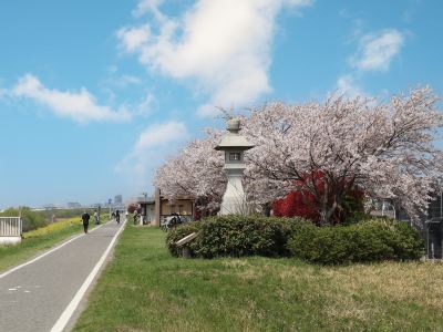 ホテル周辺 松戸グランドホテルの写真