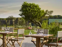 Tivoli Estela Golf & Lodges Porto Hotels near Carvalhido Beach